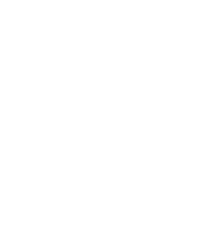 logo-light